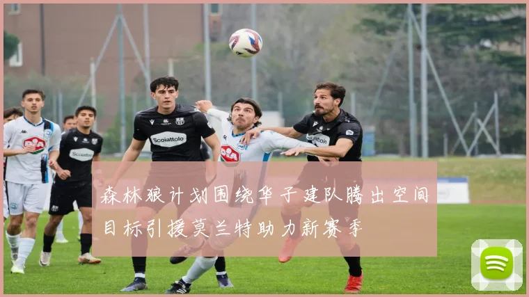 森林狼计划围绕华子建队腾出空间目标引援莫兰特助力新赛季