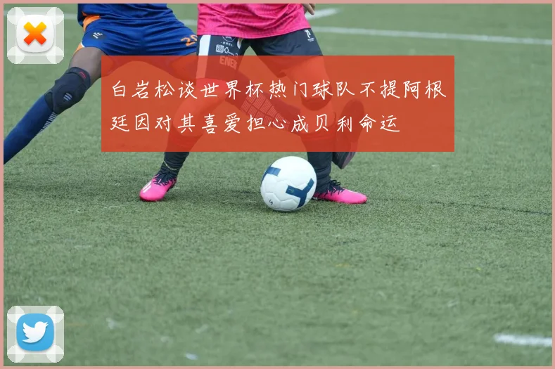 白岩松谈世界杯热门球队不提阿根廷因对其喜爱担心成贝利命运